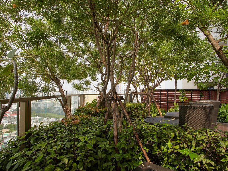 Jasmine Resort Hotel 7 - Landscape