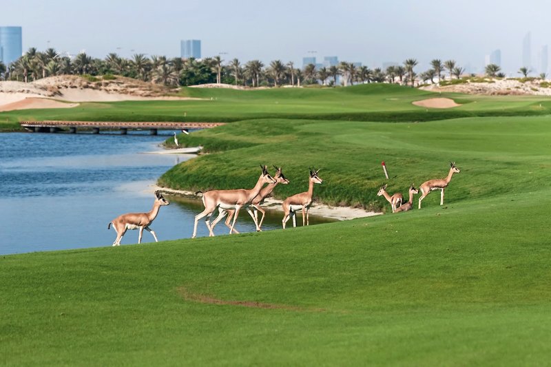 Park Hyatt Abu Dhabi Hotel & Villas 32