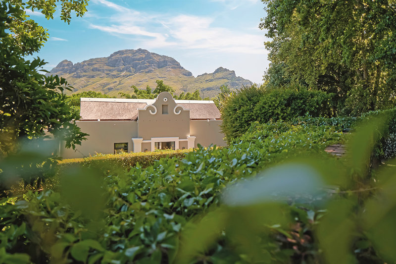 Delaire Graff Estate 7