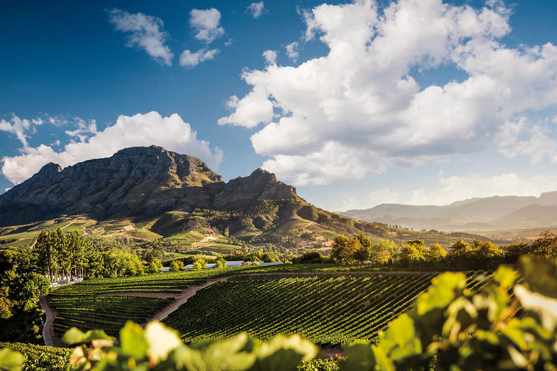 Delaire Graff Estate 37