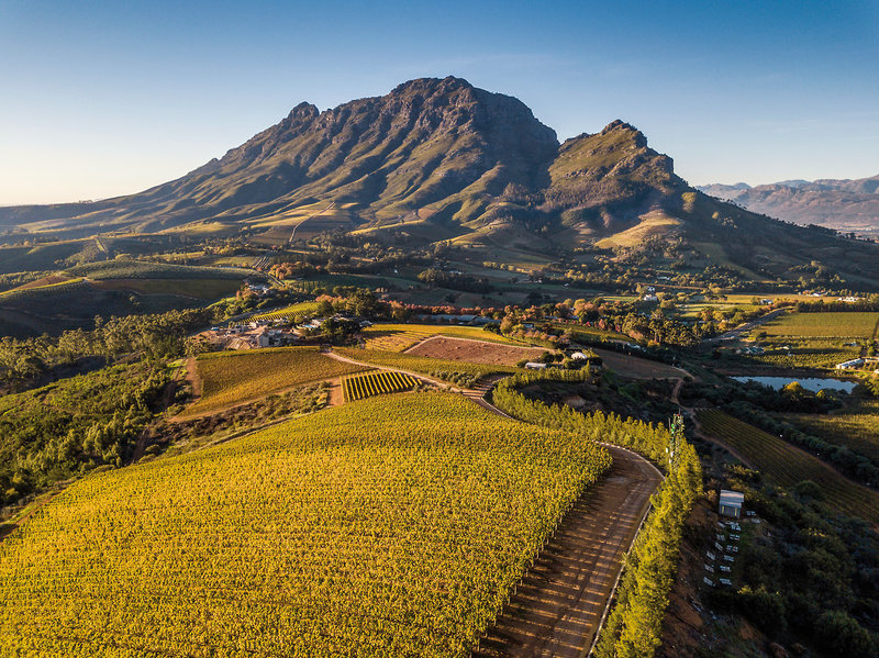 Delaire Graff Estate 38