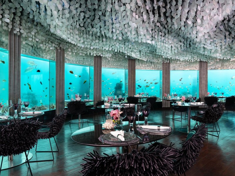 Niyama Private Islands Maldives 14