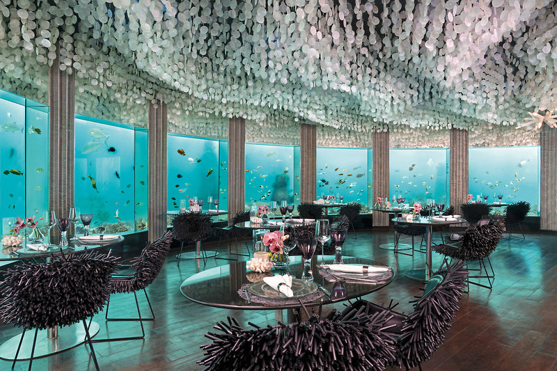 Niyama Private Islands Maldives 39