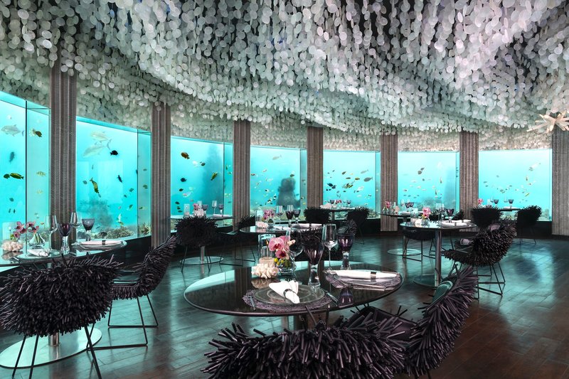 Niyama Private Islands Maldives 8