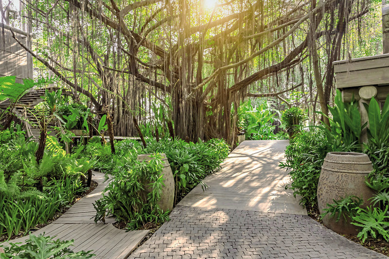 An Lam Retreats Saigon River 6
