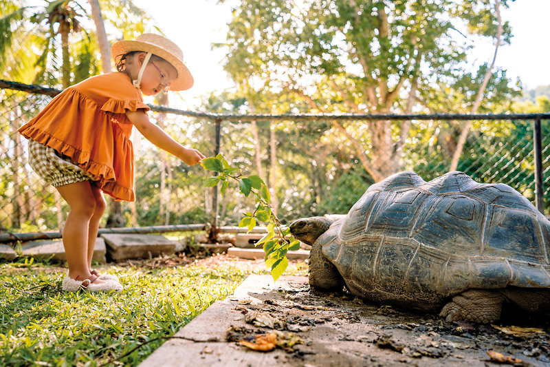 Kempinski Seychelles Resort 41