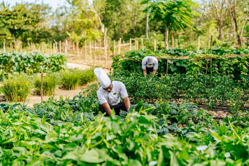 The Residence Zanzibar 15