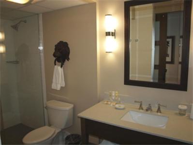 Crowne Plaza Charleston Airport 4 - Bathroom Example