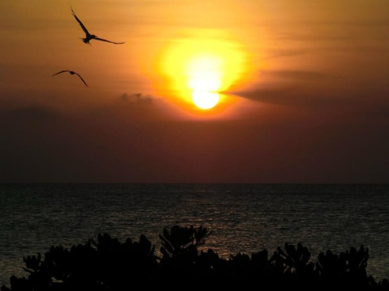 Baoase Luxury Resort 20