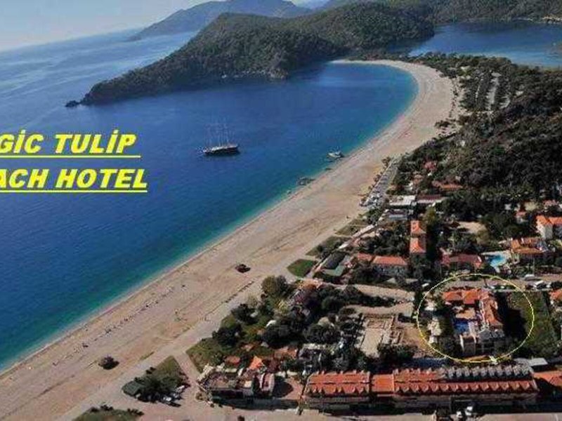 Magic Tulip Beach 6