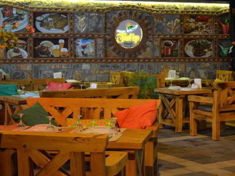 Magic Tulip Beach 15