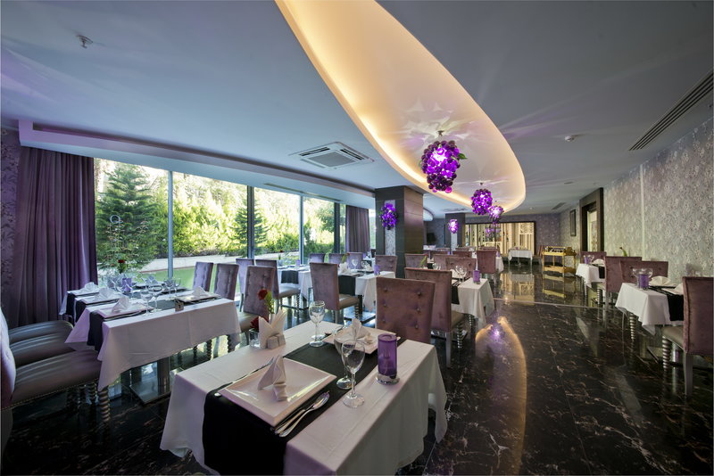 Q Premium Resort 8