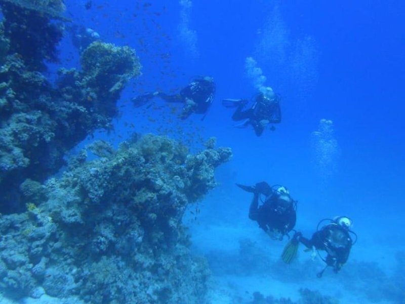 Xperience Sea Breeze Resort 25