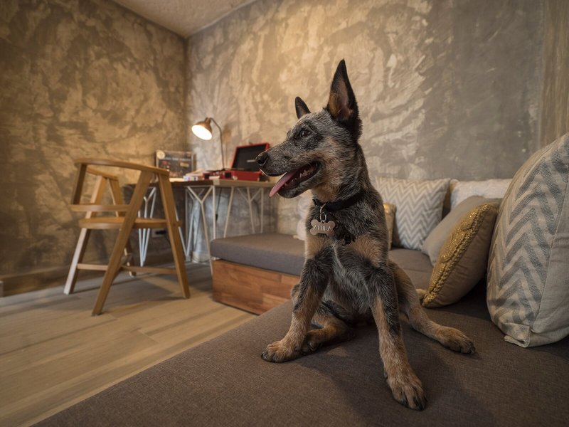 Selina Cancun Downtown 43