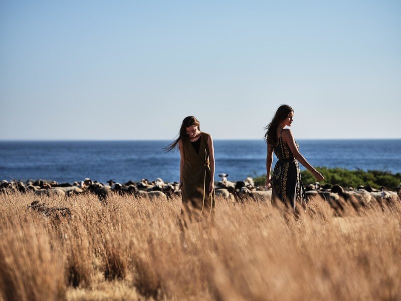 Dessole Blue Star Resort 5