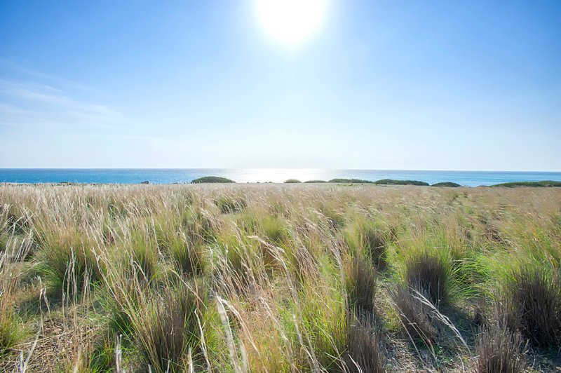 Numo Ierapetra Beach Resort Crete, Curio Collection by Hilton 55