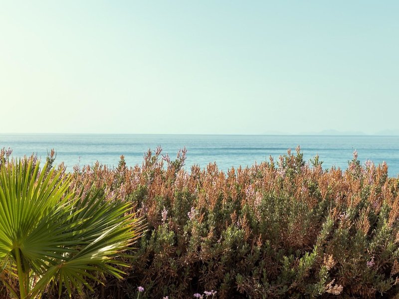 Akti Palace Resort & Spa 38