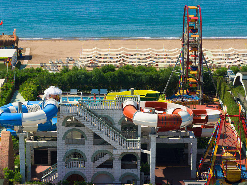 Delphin Imperial 19