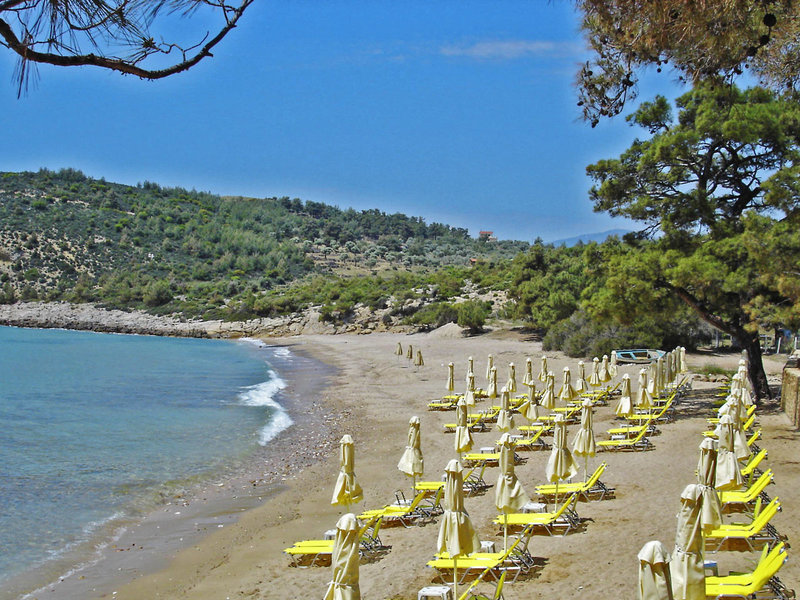 Royal Paradise Beach Resort & Spa 10 - Beach