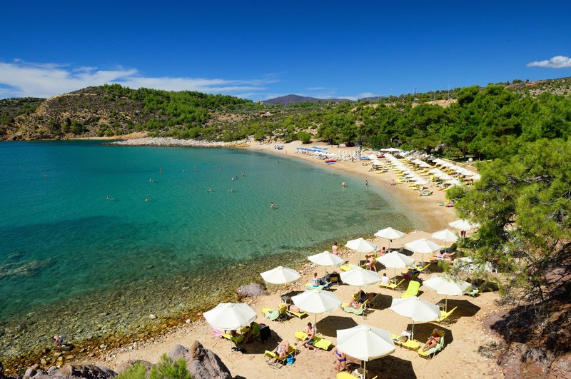 Royal Paradise Beach Resort & Spa 4