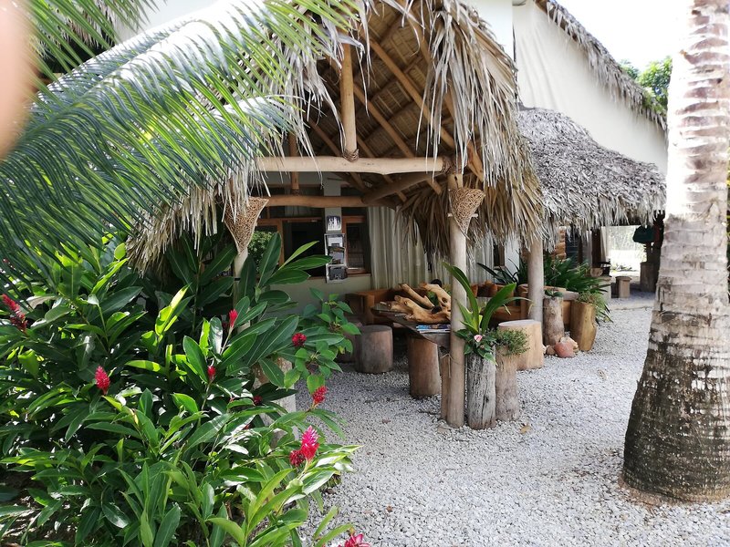 Residencia El Balata 5