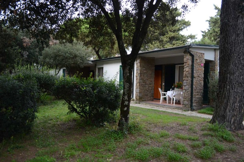 Italy Village 5 - Garden
