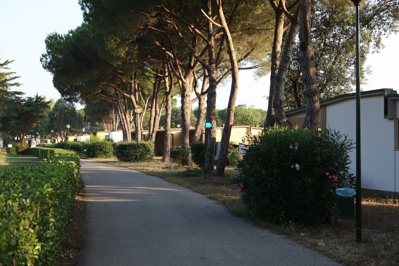 Italy Village 16 - Garden