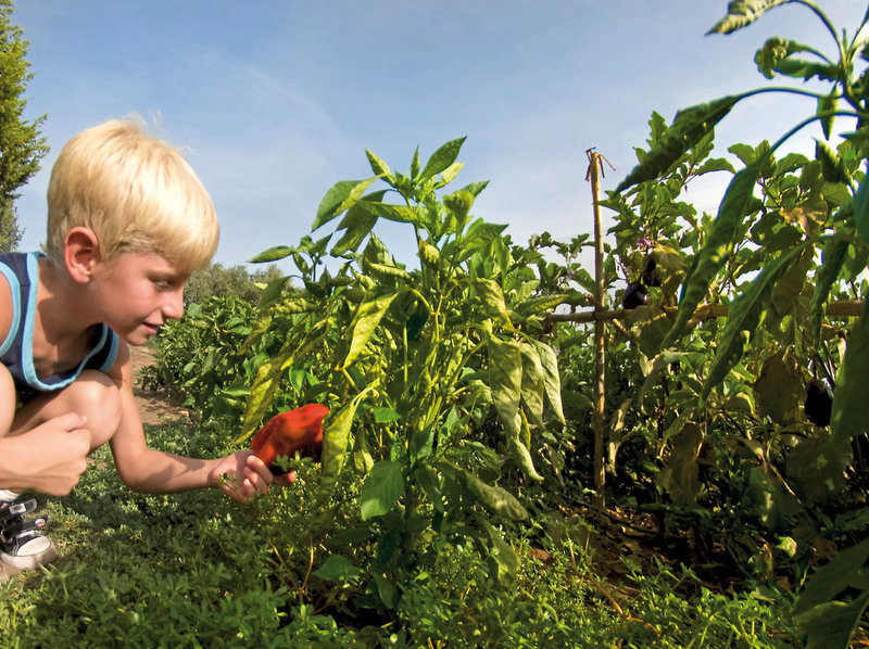 Le Dune Resort & Spa 19