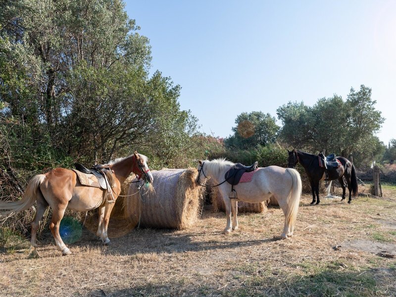 VOI Floriana Resort 39