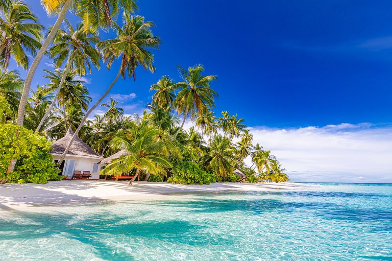 Sun Siyam Vilu Reef 10