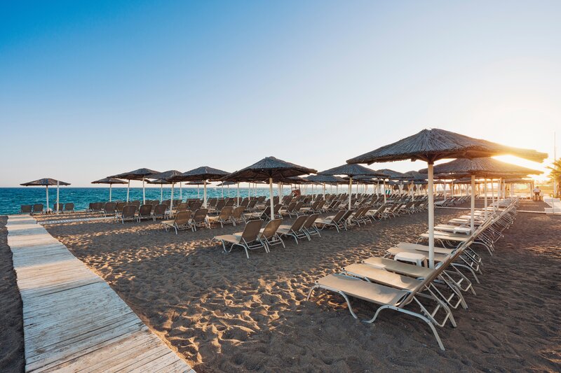 Asteria Bloom Side 41