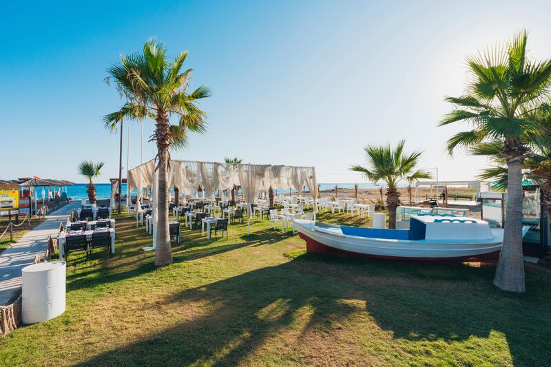 Asteria Bloom Side 49