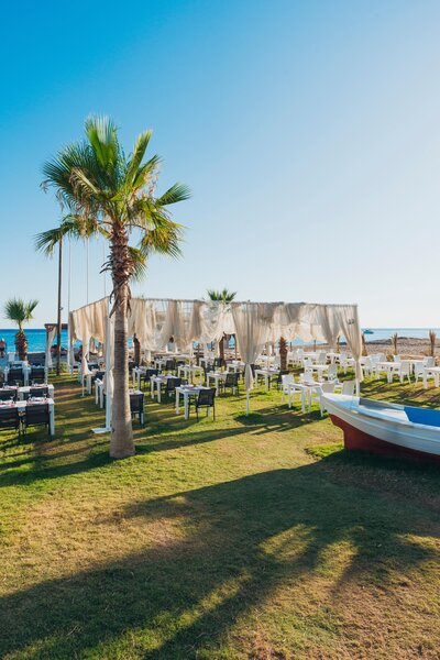 Asteria Bloom Side 50