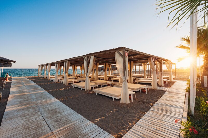 Asteria Bloom Side 54