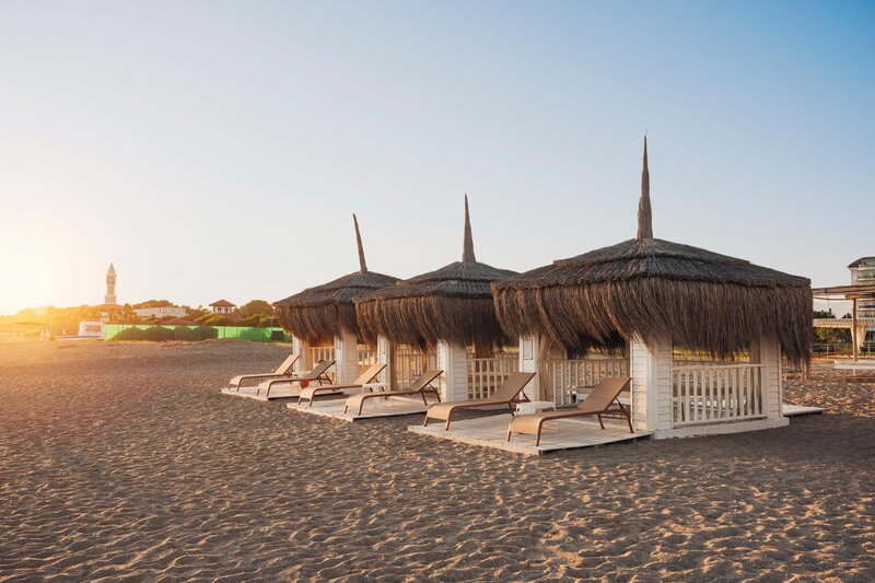 Asteria Bloom Side 57