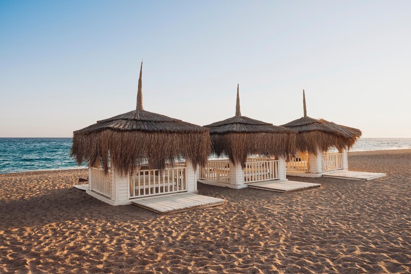 Asteria Bloom Side 58