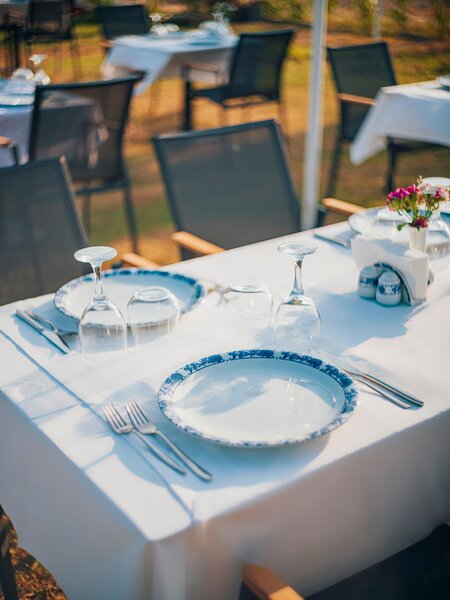 Asteria Bloom Side 62