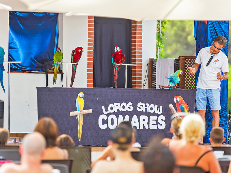 Roc Marbella Park 19