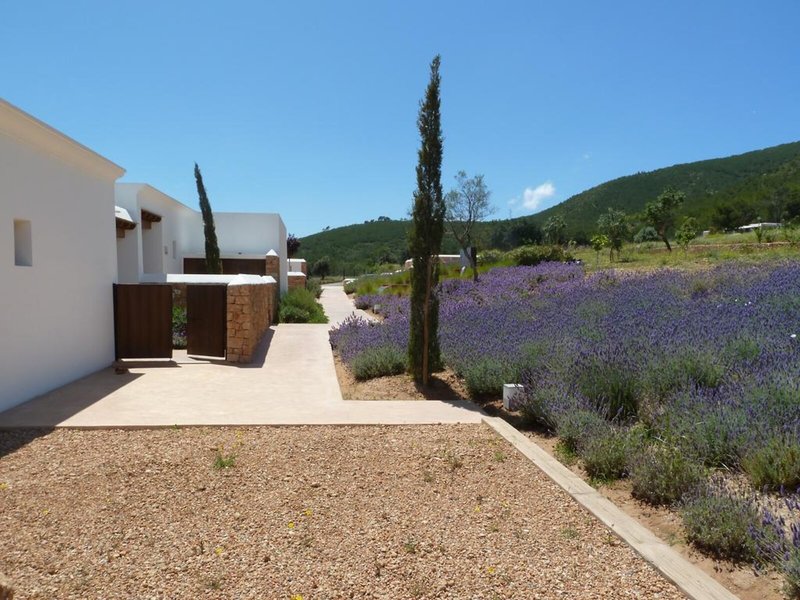 Casa Maca 22
