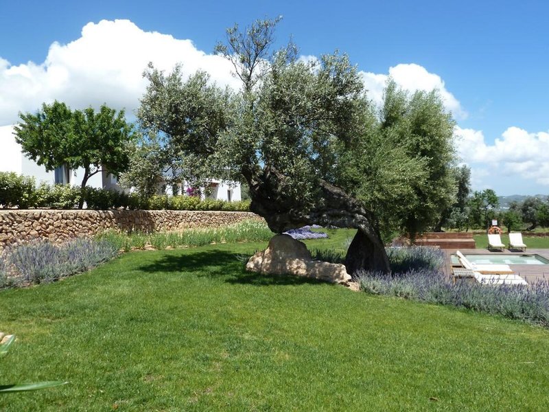 Casa Maca 8
