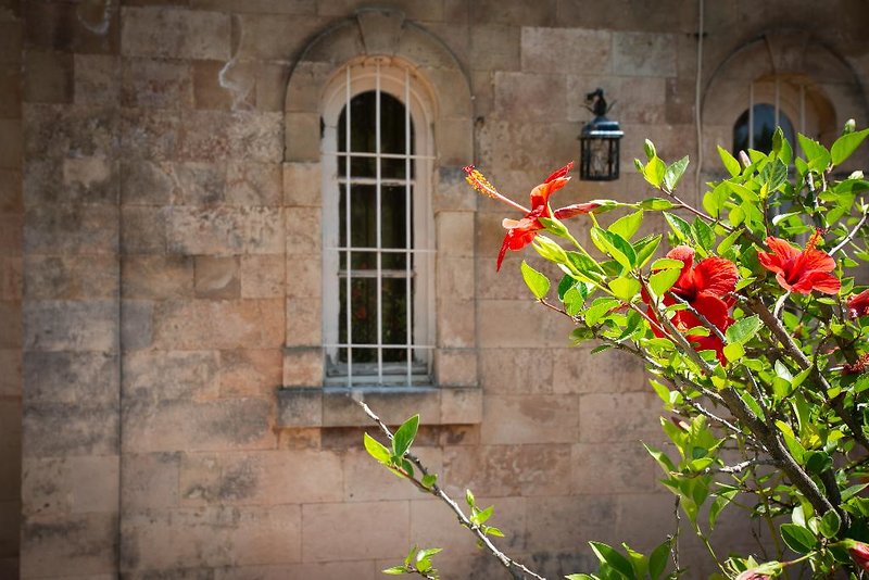 Sikyon Coast Hotel & Resort 4