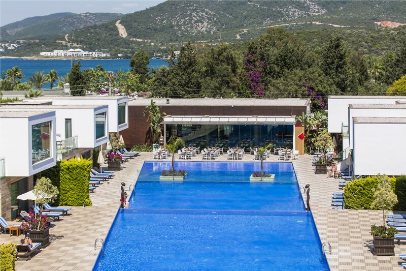 Voyage Torba 12