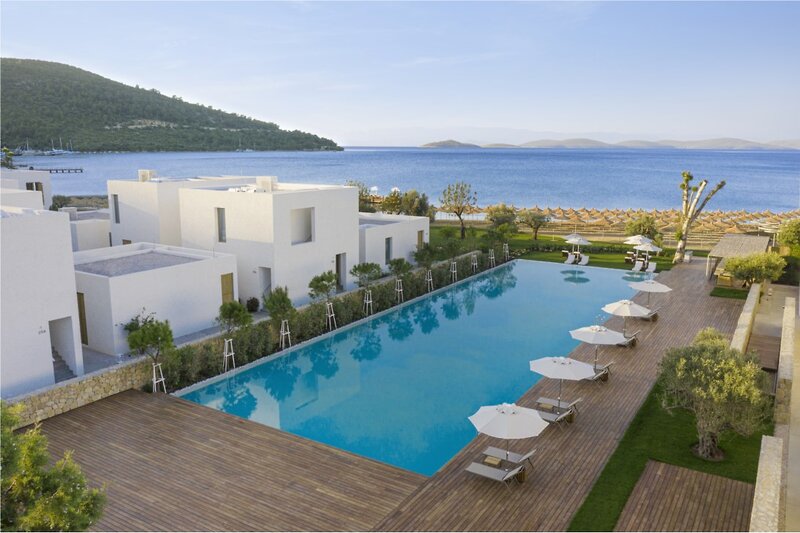 Voyage Torba 14