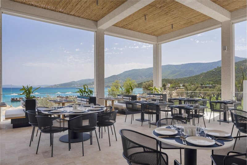 Voyage Torba 21