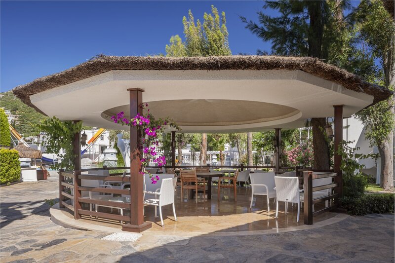 Voyage Torba 29