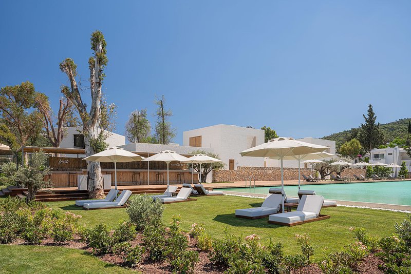 Voyage Torba 54