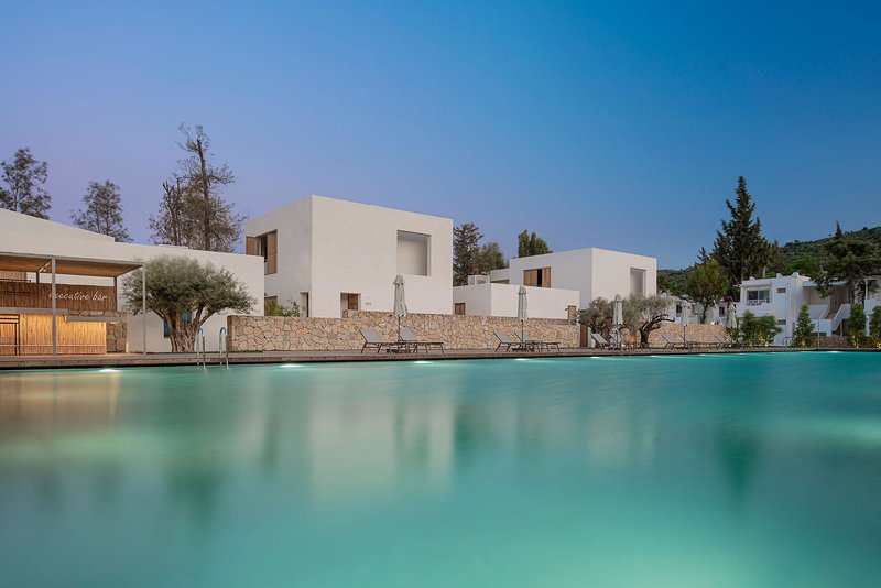 Voyage Torba 4