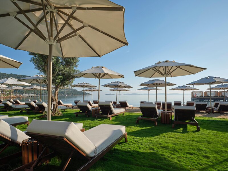 Voyage Torba 6