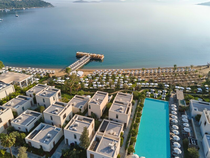 Voyage Torba 41