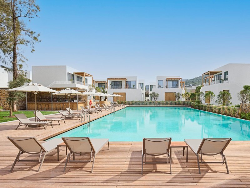 Voyage Torba 51